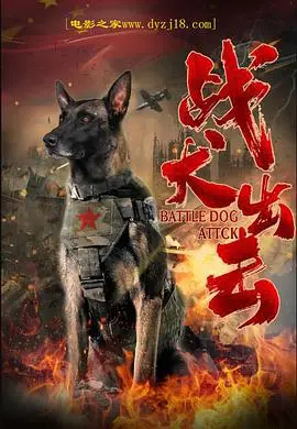 《战犬出击》：忠犬的使命与救赎之路，感人至深的战争友谊