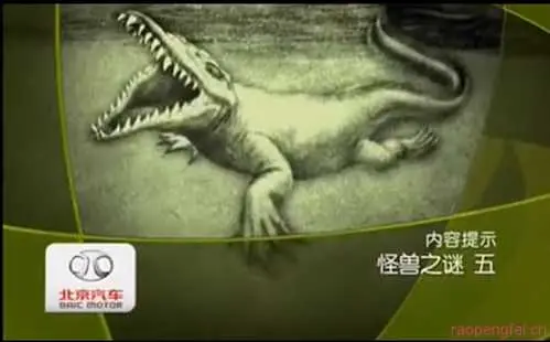 《大''真探''怪兽之谜》影评：脑洞大开！一场关于友谊、冒险和怪兽的爆笑之旅