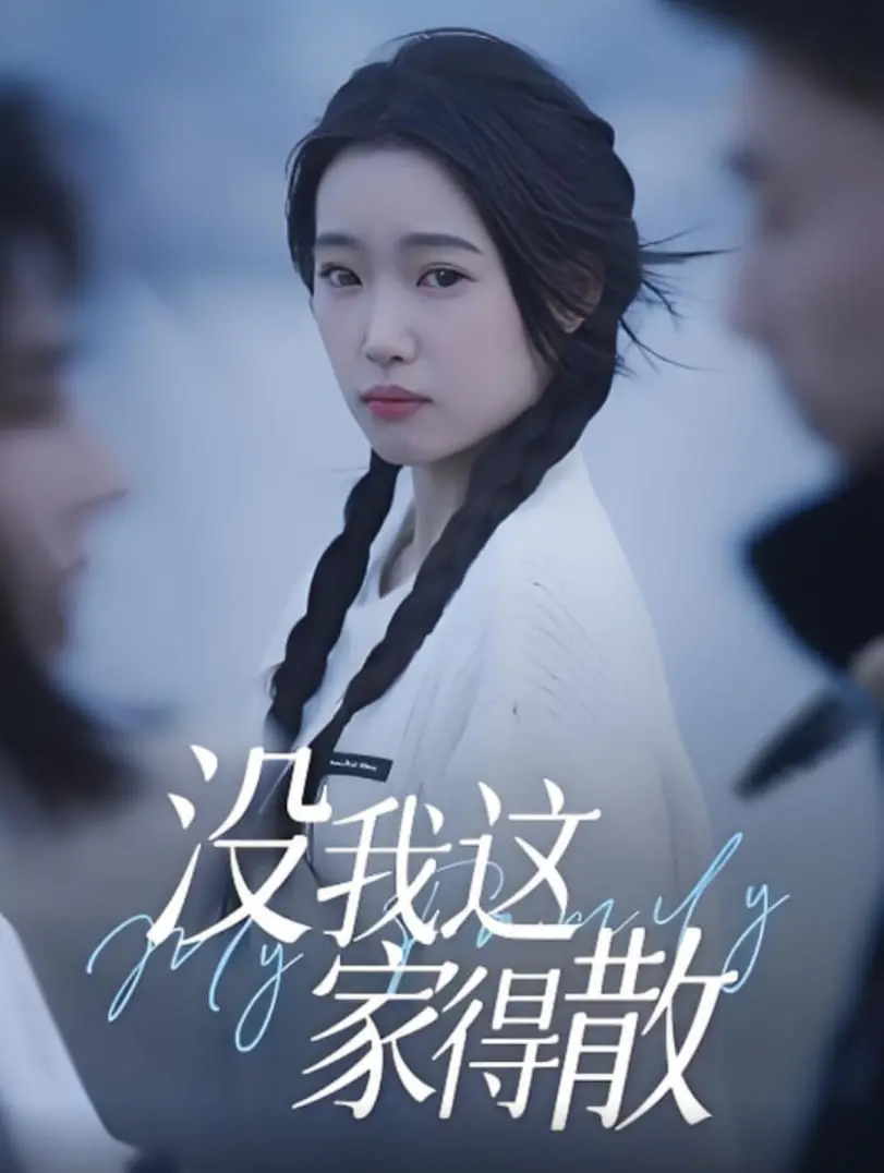 家庭闹剧的真谛：评析《没我这家得散》的温情与幽默